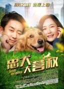 网站SEO导航设计百度搜索引擎友好型指南